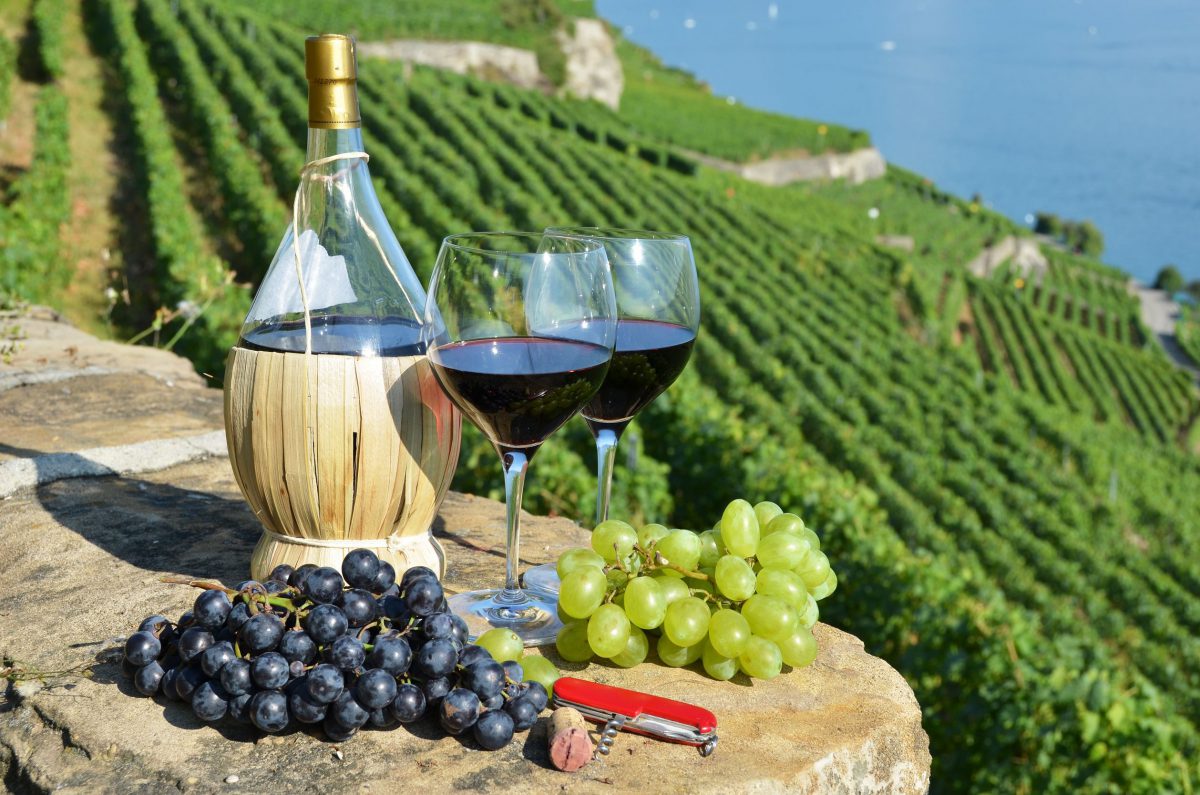 10 most expensive wines in the world b.TWEEN 3D